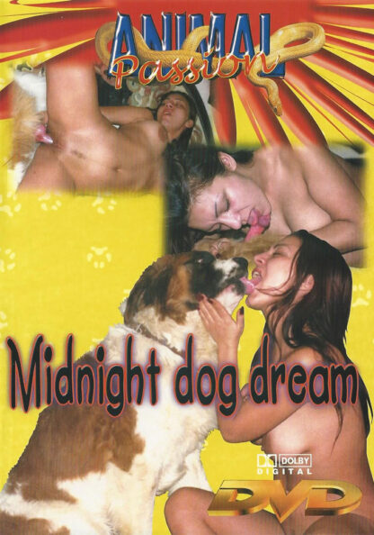 midnight dog dream 1